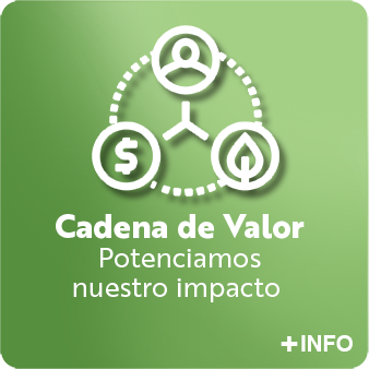 Cadena de Valor